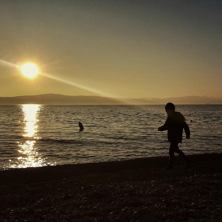 Sea Dream Apartments Bibinje Dış mekan fotoğraf