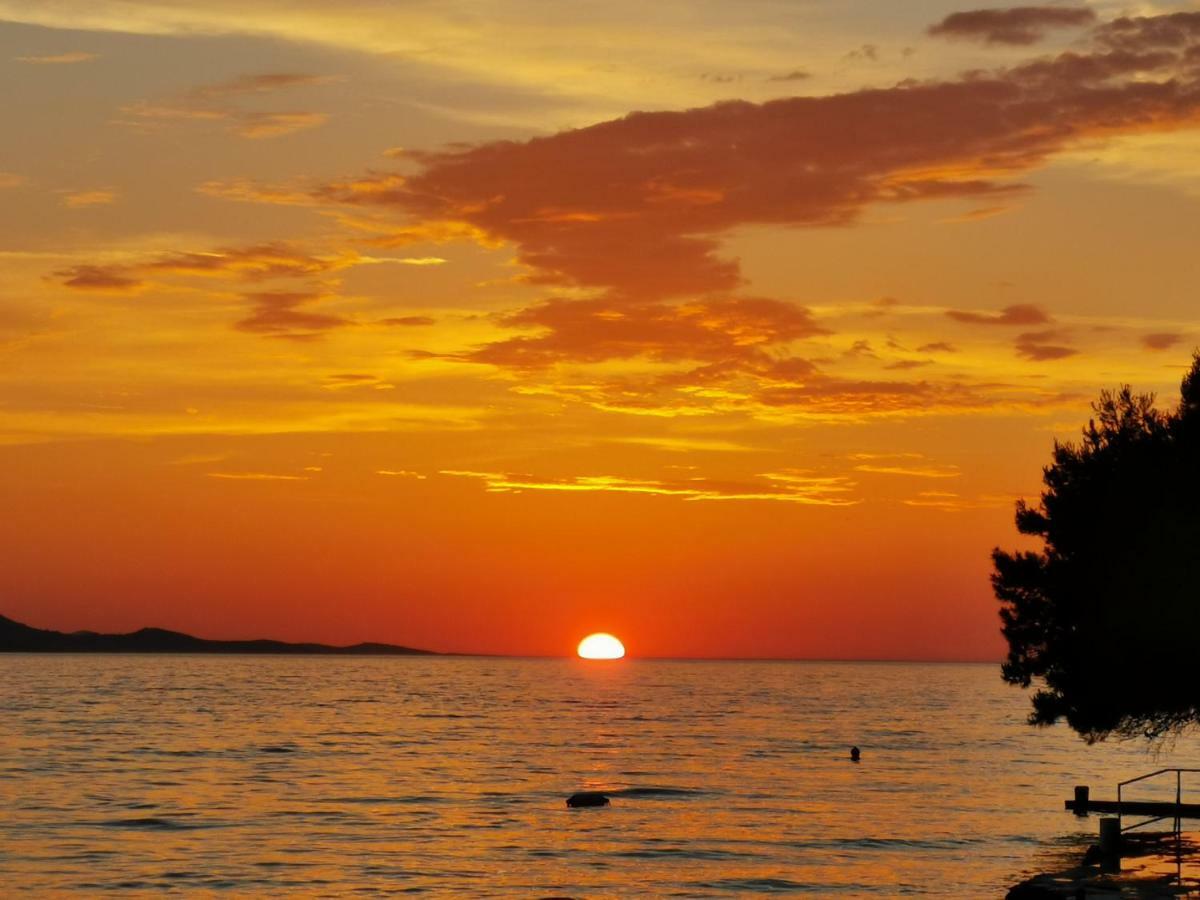 Sea Dream Apartments Bibinje Dış mekan fotoğraf